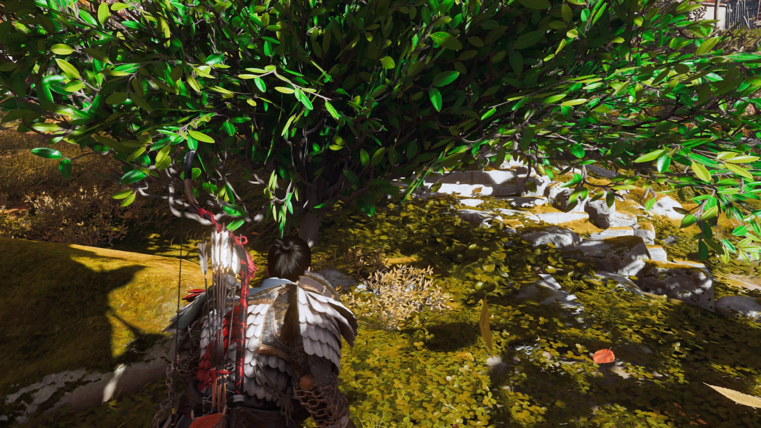 Ghost of Tsushima_近くの茂み