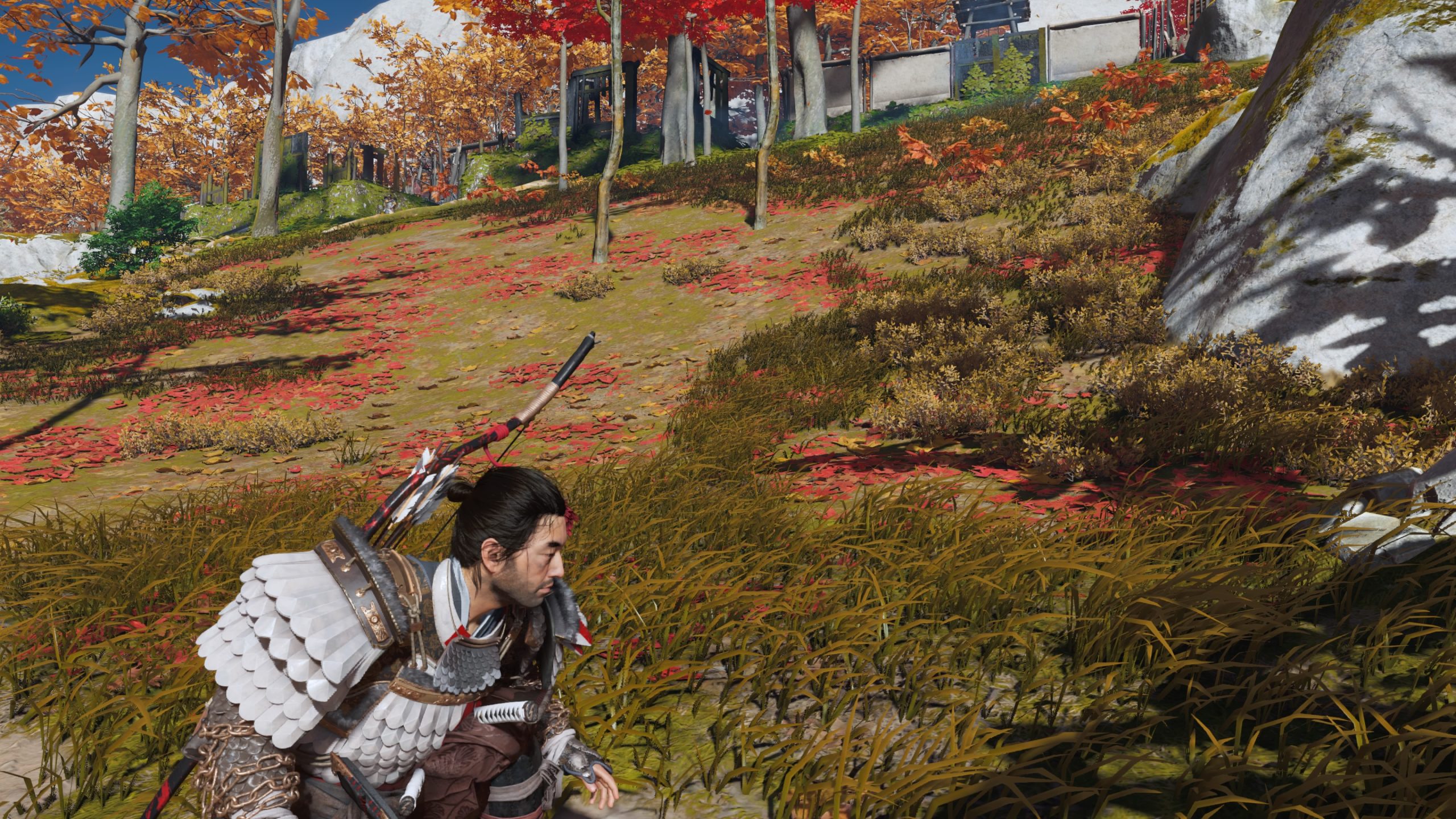 Ghost of Tsushima_右へ回り込む