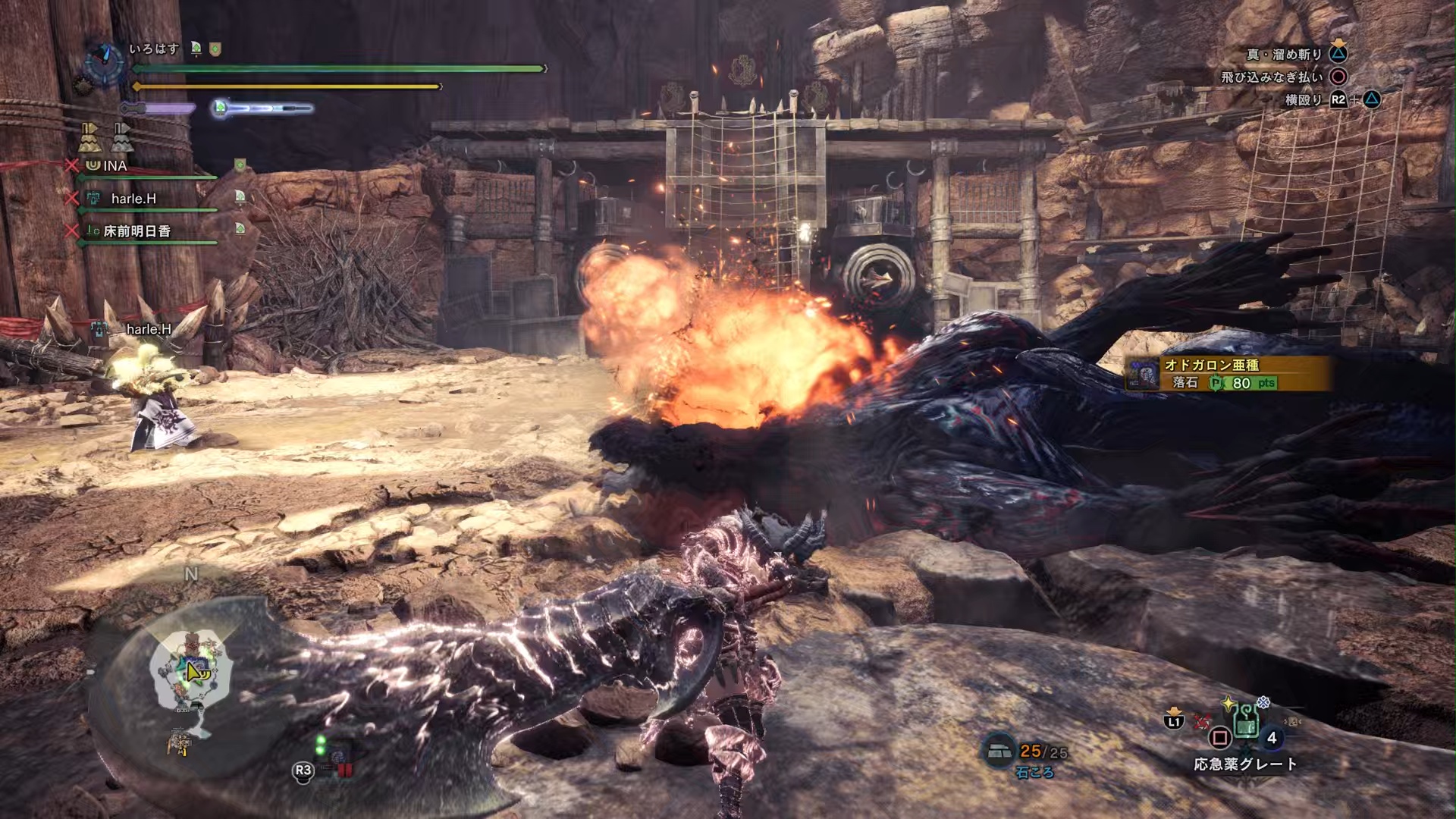 モンスターハンターワールド：アイスボーン_フリークエスト_オドガロン亜種2